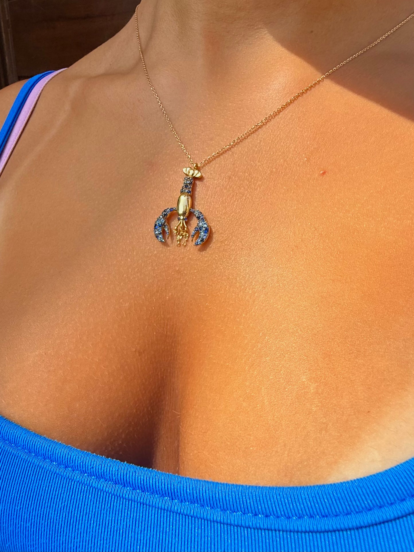 Lobster necklace 2 ways